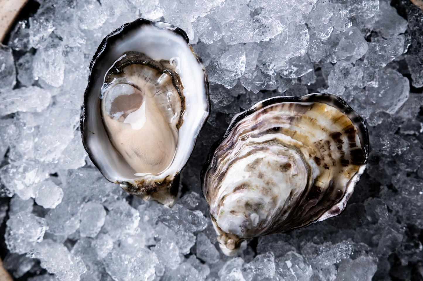 ABLP: A dozen Premium Pacific Oyster – Shucked