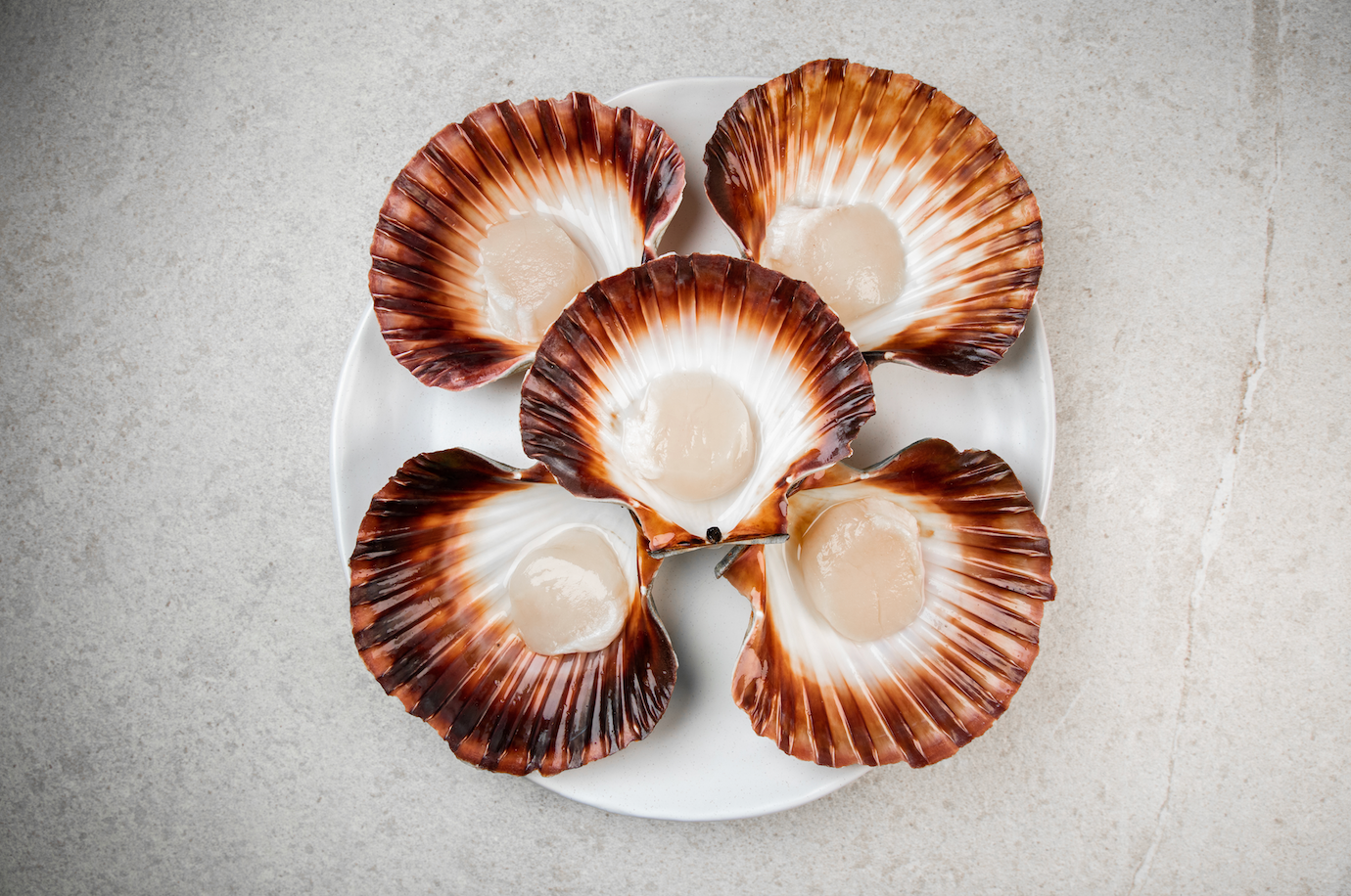 ABLP: A dozen ½ Shell Scallops (frozen)