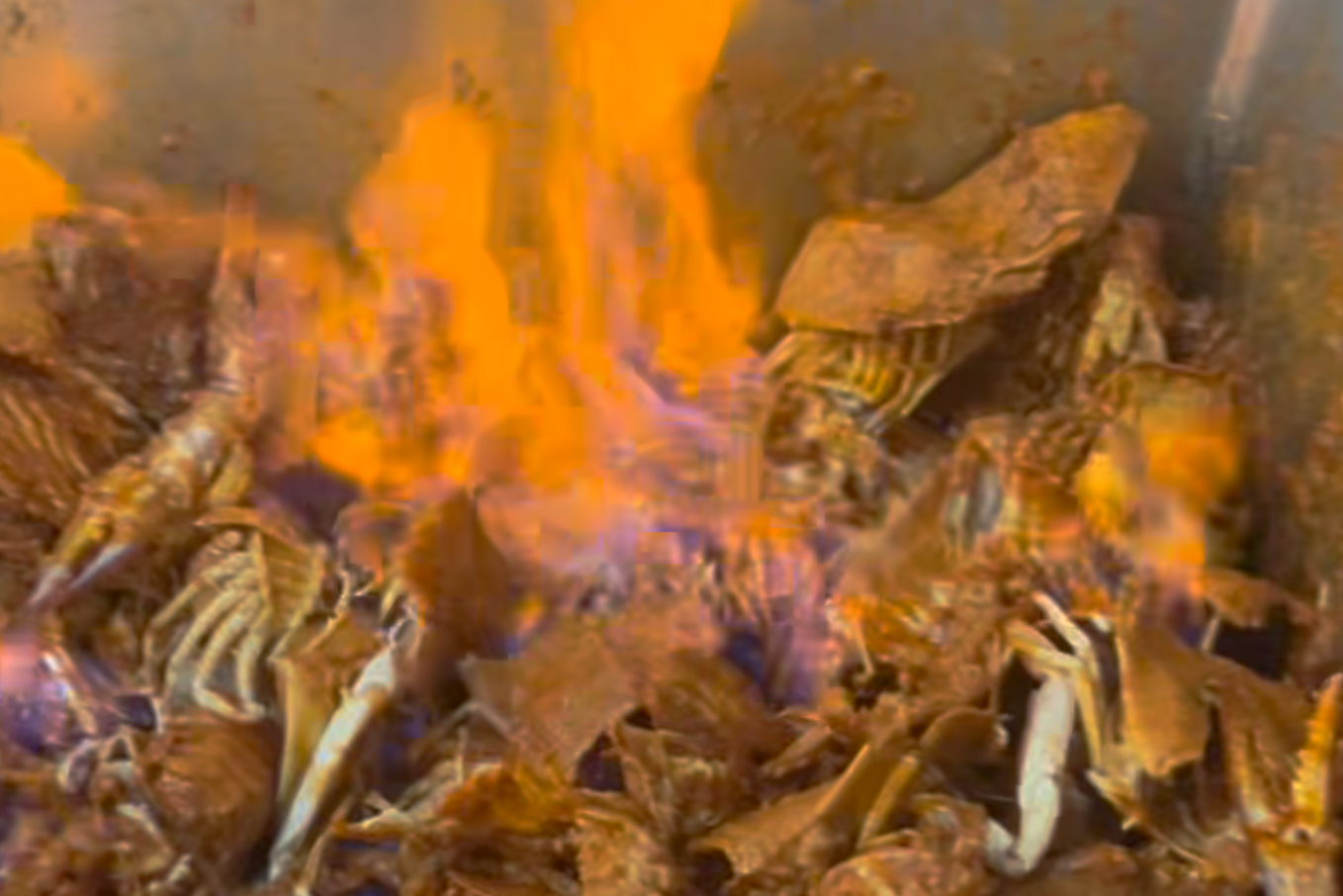 ABLP x Chef Frankie Crustacean Broth/Bisque (perfect for bug pasta)