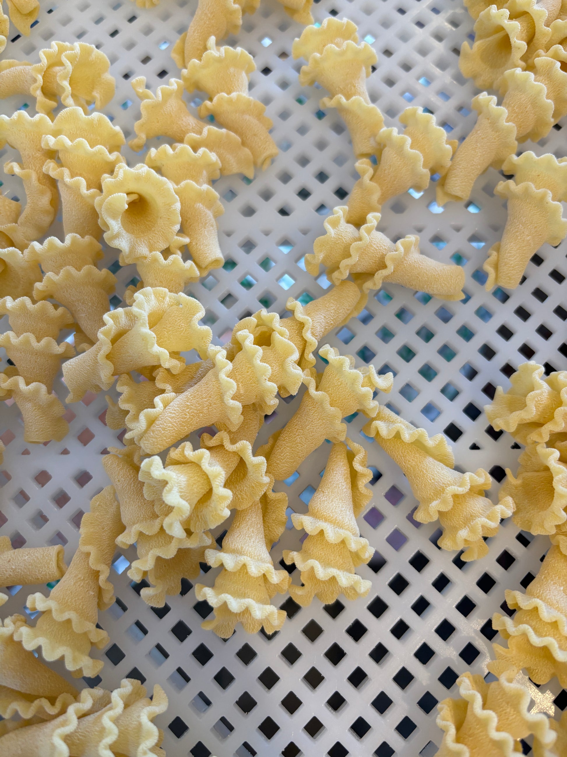 What is the Difference Between Gigli Pasta and Farfalle? Explained
