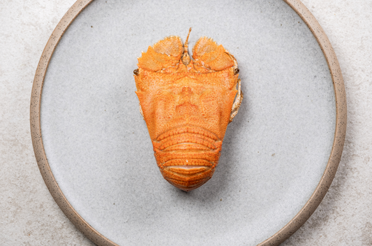 ABLP: 1kg Cooked Large Bay Lobster